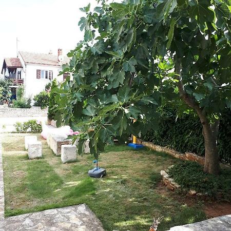 Studio Apartman Splash Pjescana Uvala Bagian luar foto